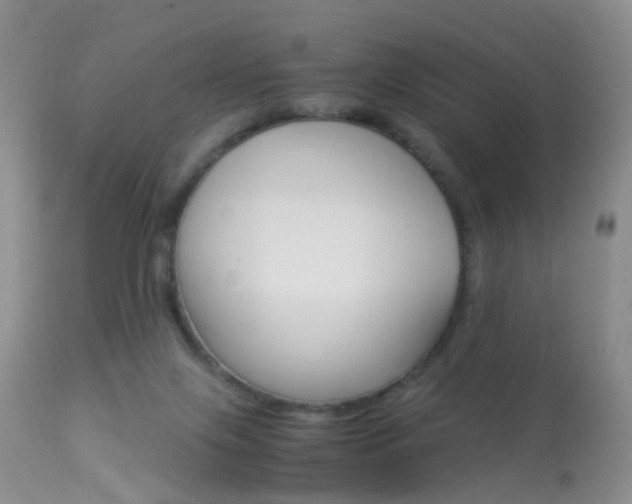 X0000113950071200909251013