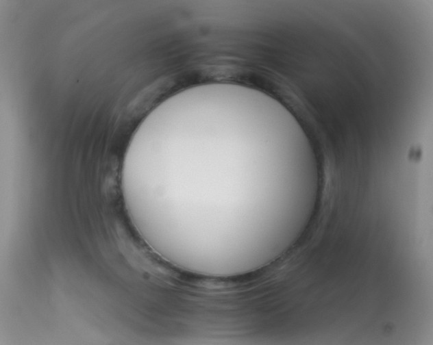 X0000113950073200909251013