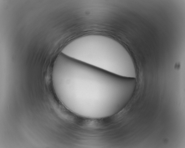 X0000113950074200909251013