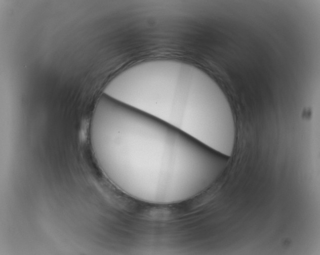 X0000113950075200909251013
