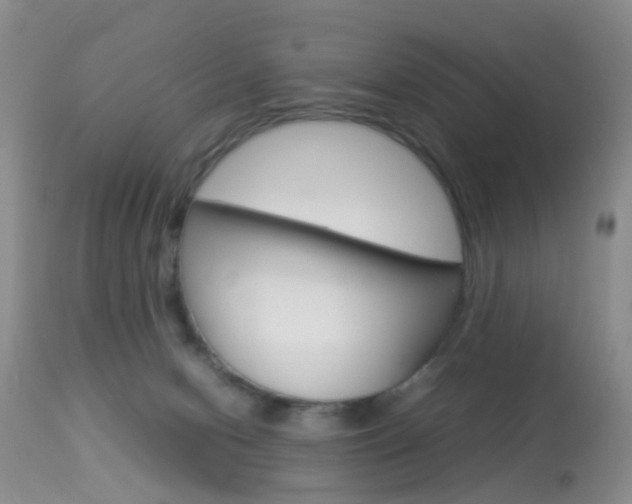 X0000113950078200909251013
