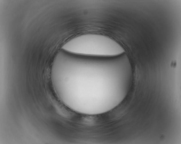 X0000113950079200909251013