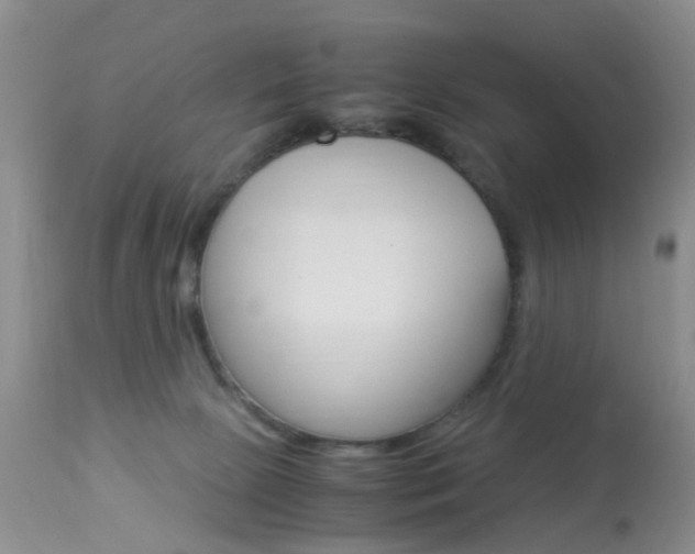 X0000113950081200909251013