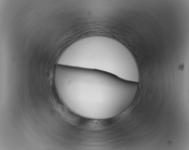 X0000113950082200909251013