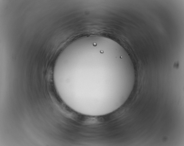X0000113950083200909251013