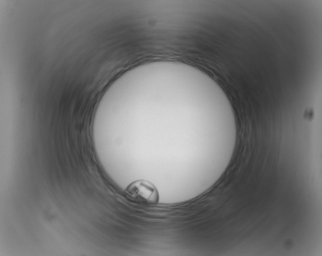 X0000113950084200909251013