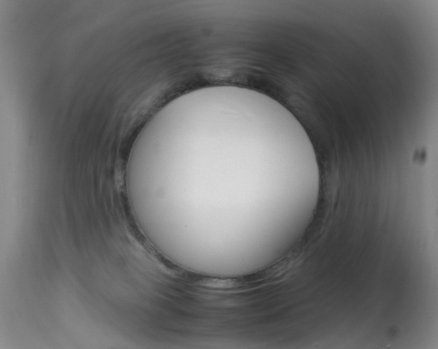 X0000113950085200909251013