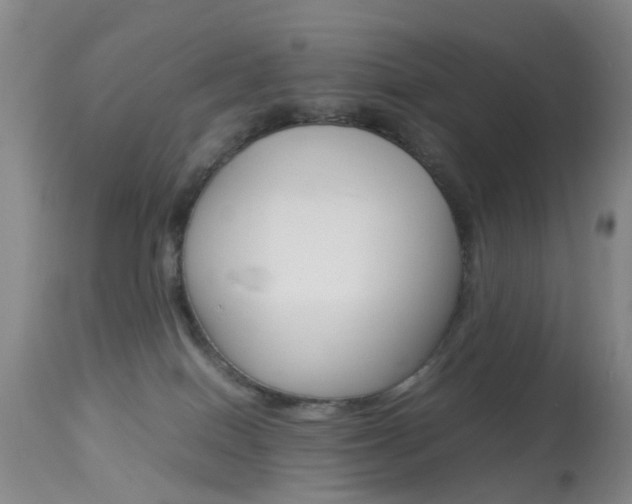 X0000113950086200909251013
