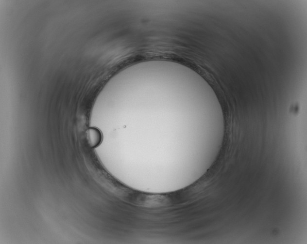 X0000113950087200909251013