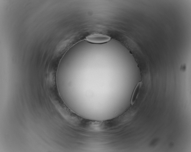 X0000113950088200909251013