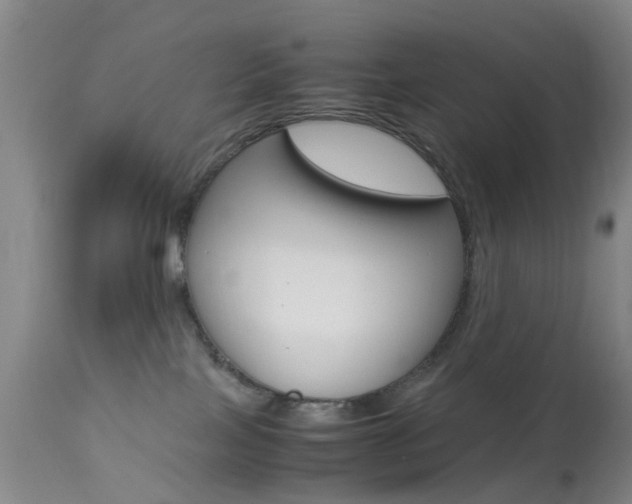 X0000113950089200909251013