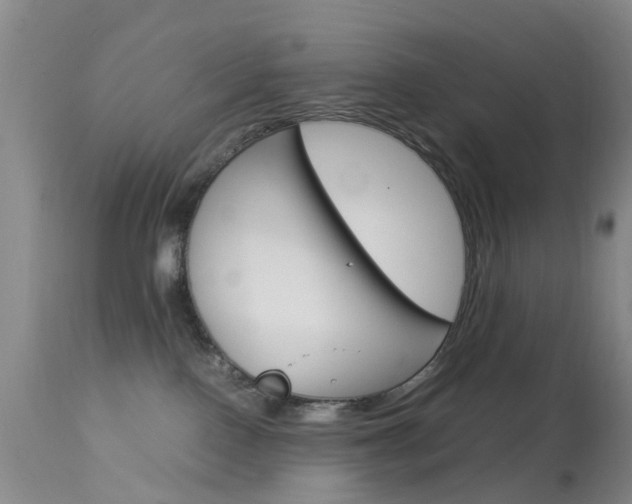 X0000113950090200909251013
