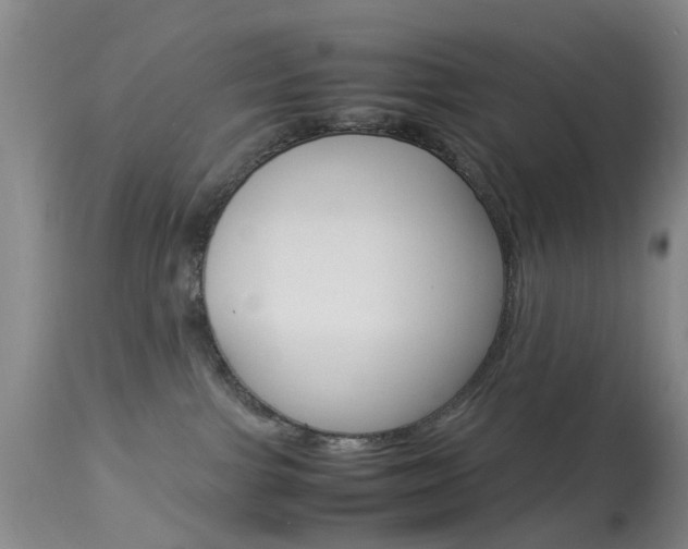 X0000113950091200909251013