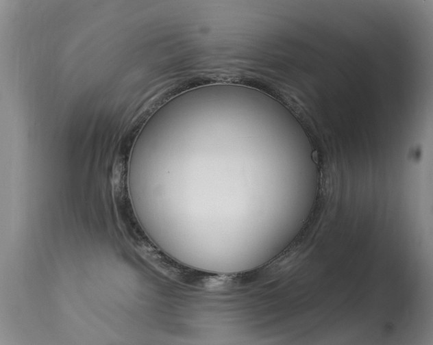X0000113950092200909251013