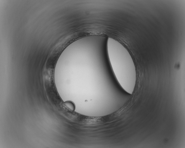 X0000113950093200909251013