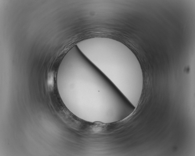 X0000113950094200909251013