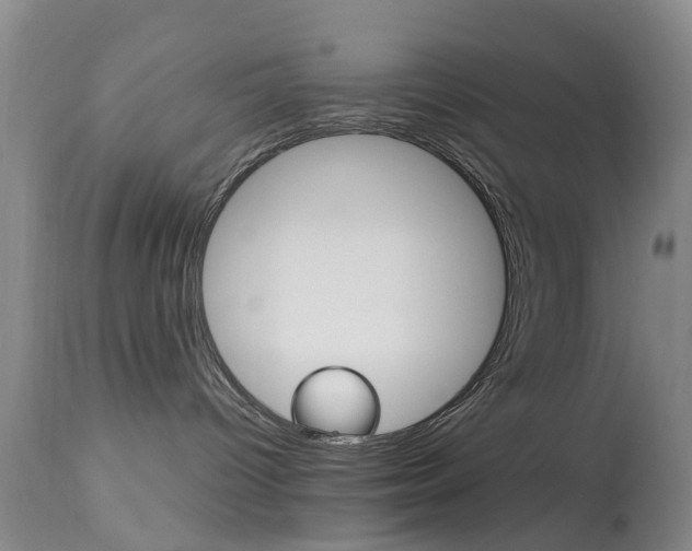 X0000113950096200909251013