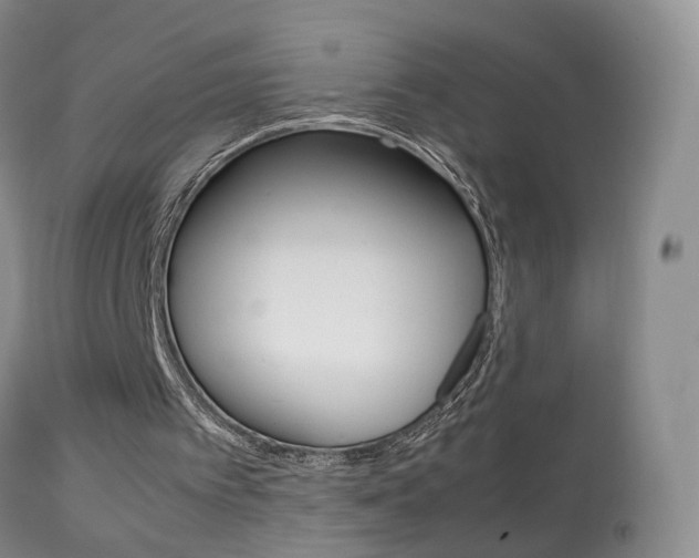 X0000113950097200909251012