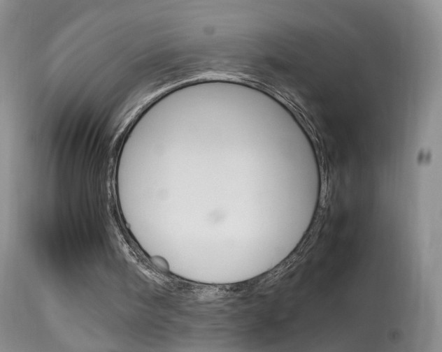 X0000113950098200909251012