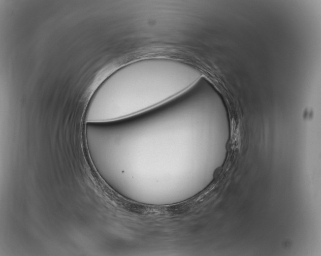 X0000113950099200909251012