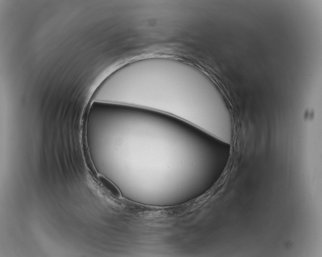 X0000113950100200909251012