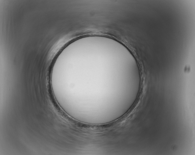 X0000113950103200909251012