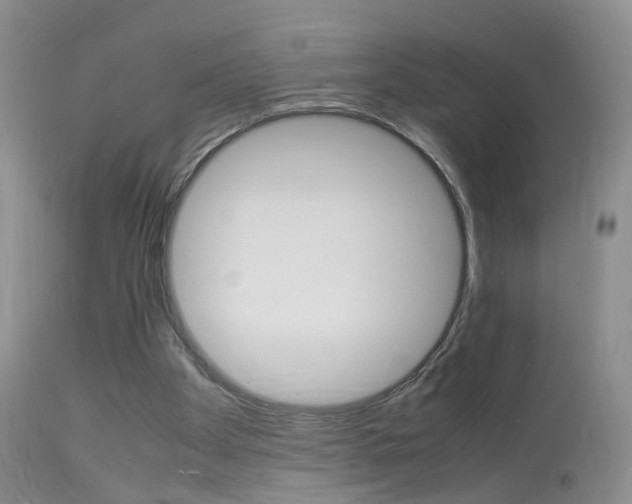 X0000113950105200909251012
