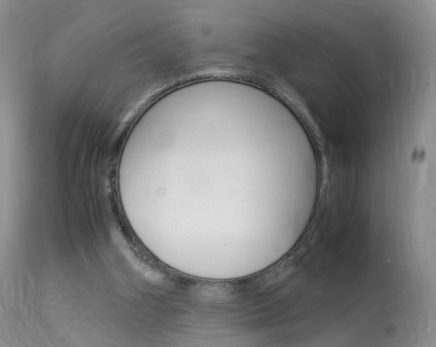 X0000113950106200909251012