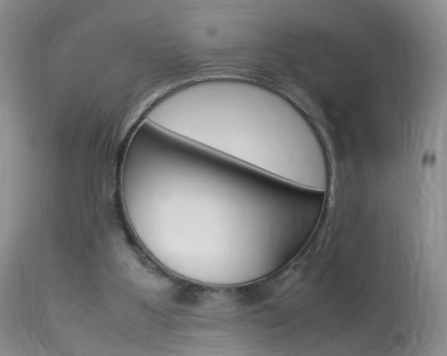 X0000113950107200909251012