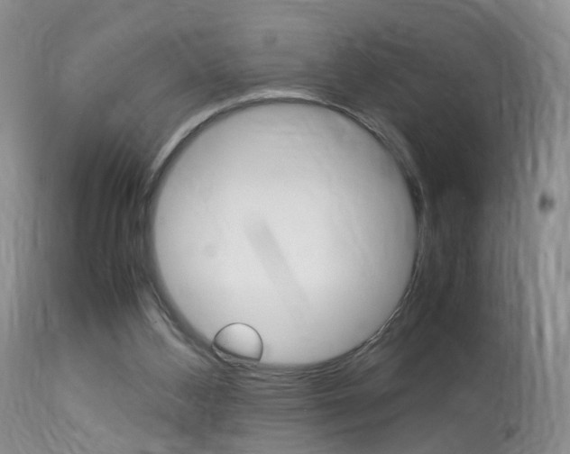 X0000113950108200909251012