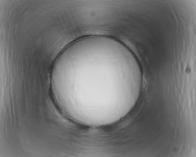 X0000113950109200909251012