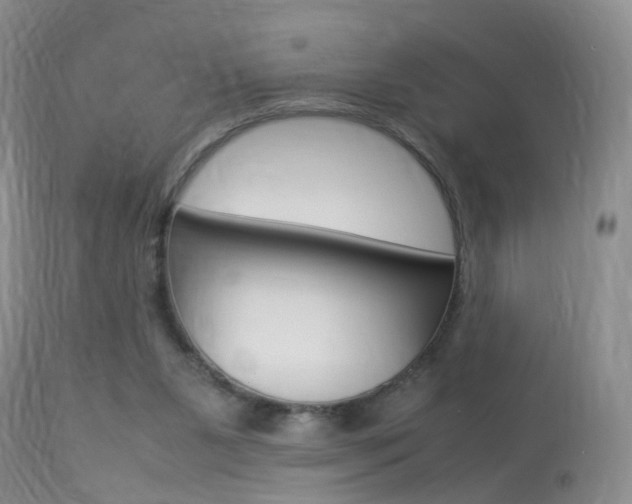 X0000113950111200909251012