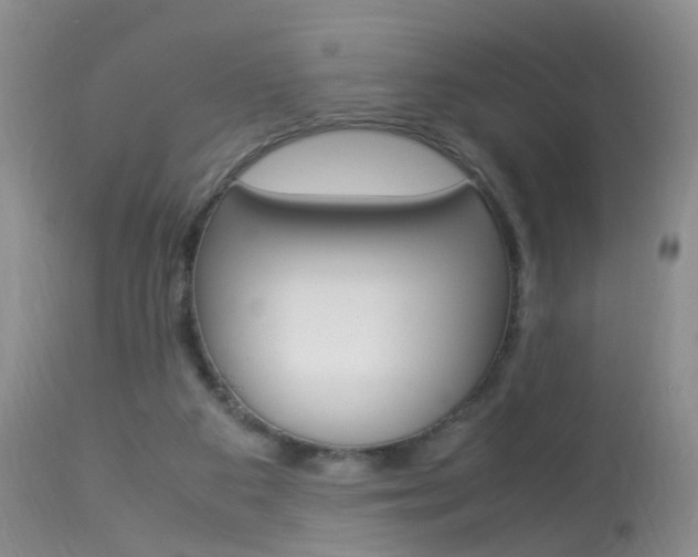 X0000113950113200909251012