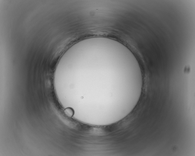 X0000113950114200909251012