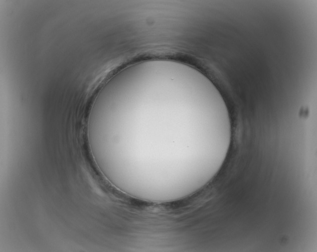 X0000113950115200909251012