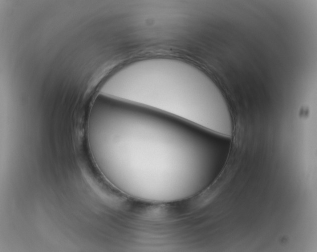 X0000113950116200909251012