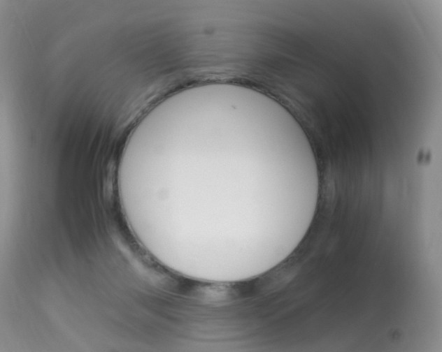 X0000113950118200909251012