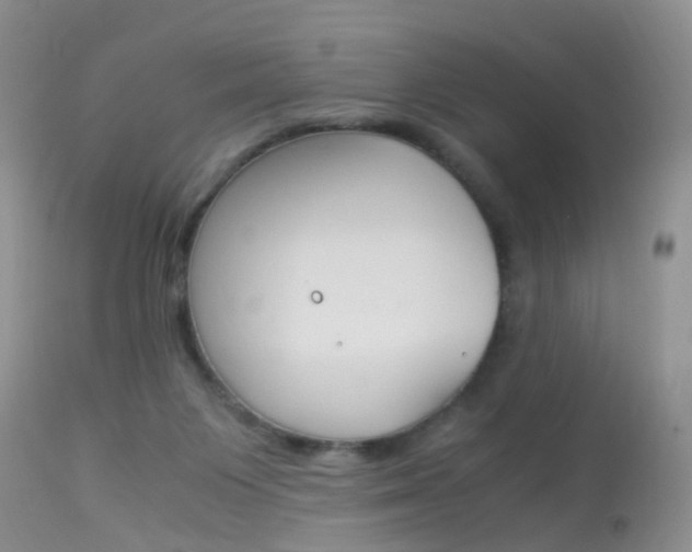 X0000113950119200909251012