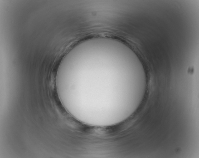 X0000113950121200909251012