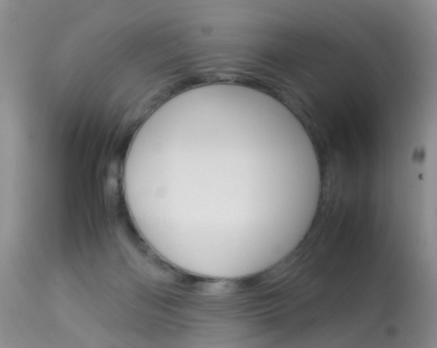 X0000113950122200909251012