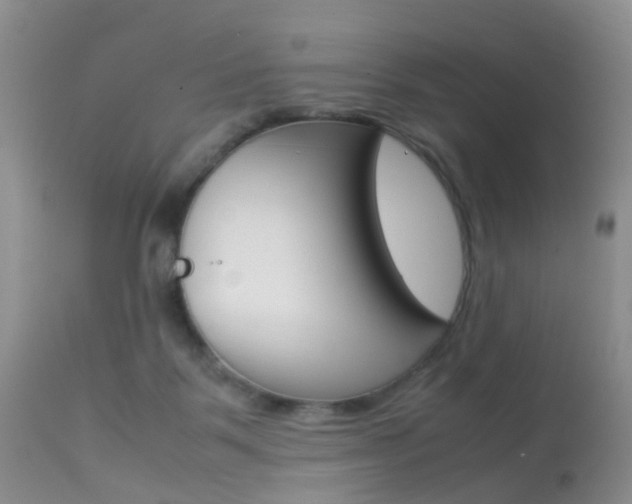 X0000113950123200909251012