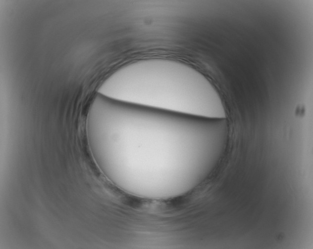 X0000113950125200909251012