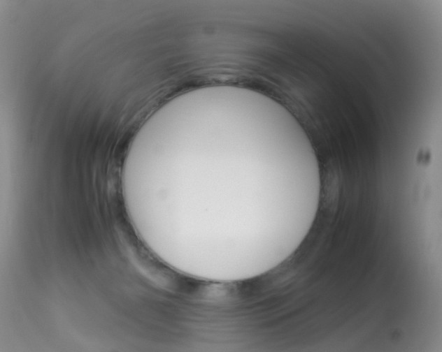 X0000113950126200909251012