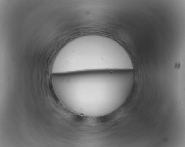 X0000113950127200909251012