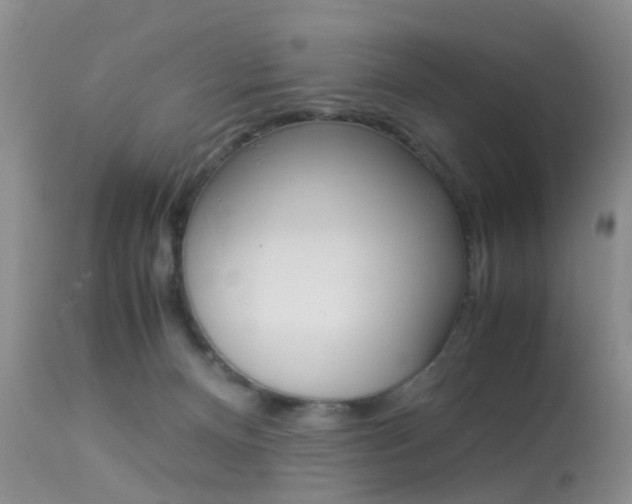 X0000113950128200909251012