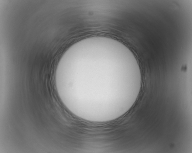 X0000113950129200909251012