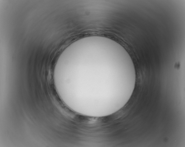 X0000113950130200909251012