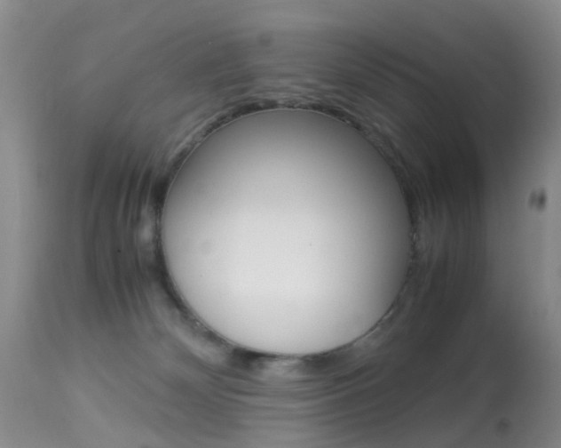 X0000113950132200909251012