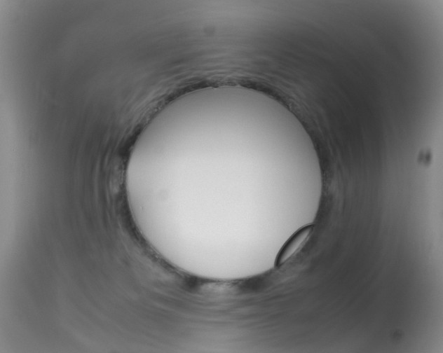 X0000113950133200909251012