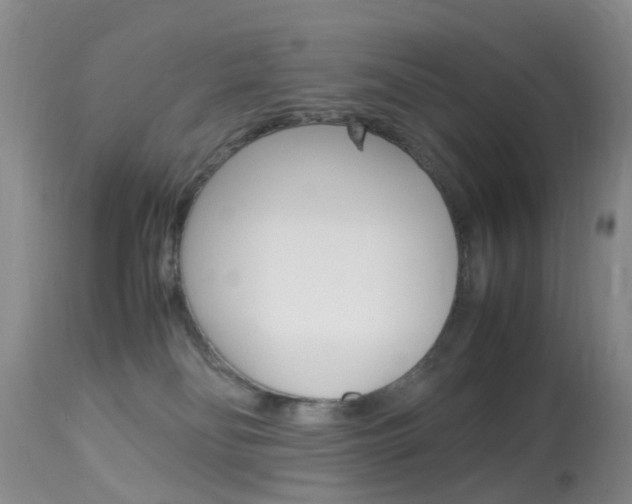X0000113950134200909251012